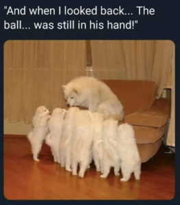 Stupid Bar Memes 0fe0913b59536d4a