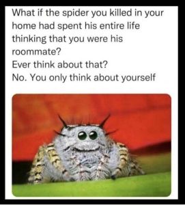 Stupid Bar Memes 129609b2657c3e7b