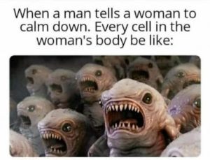 Stupid Bar Memes 13fdb16a7fdb3dc6