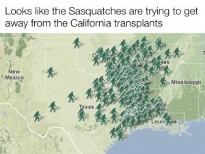 Stupid Bar Memes 14958a8c9a82c6bb