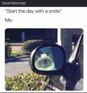 Stupid Bar Memes 192c53f70c607eca