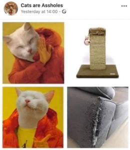 Stupid Bar Memes 1a571191d4970ead