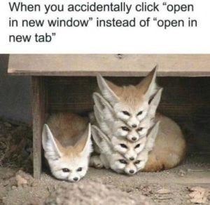 Stupid Bar Memes 1b7f3ae98480134d