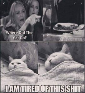 Stupid Bar Memes 1c7adbb7df4c670c