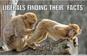 Stupid Bar Memes 1ed8a0f52212960f