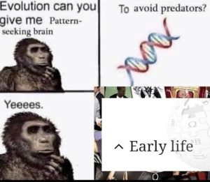 Stupid Bar Memes 214c13a893f7425b