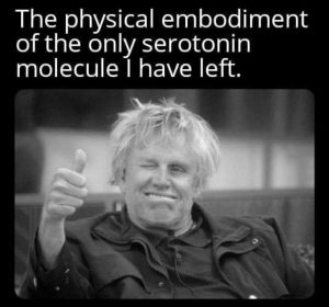 Stupid Bar Memes 24xsrEI