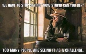 Stupid Bar Memes 262540b33fb2e0b6