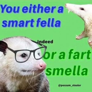 Stupid Bar Memes 2992961ed8984dd0