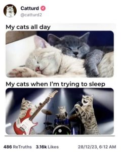 Stupid Bar Memes 29e928e2086d3947
