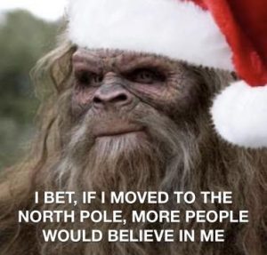 Stupid Bar Memes 2e512392253157ac