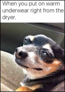 Stupid Bar Memes 2f16d1fee8659844
