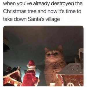 Stupid Bar Memes 30ba1da01d9d2675