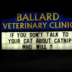 Stupid Bar Memes 32943d6665e02d61