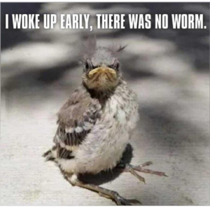 Stupid Bar Memes 35406bb982d015f0