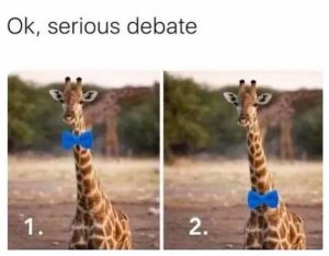 Stupid Bar Memes 358d2c8f5e5431b9