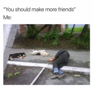 Stupid Bar Memes 35a2126833beb51e