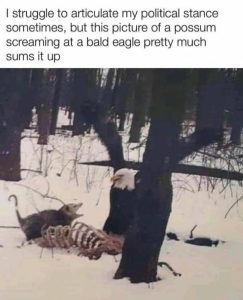 Stupid Bar Memes 35eaf96e57f1a856