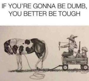 Stupid Bar Memes 36de0fa5416acf58