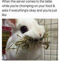 Stupid Bar Memes 372631227dd99cbf