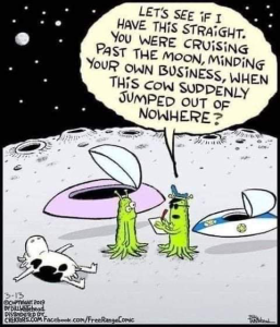 Stupid Bar Memes 37f4e4d2e3d26d7a