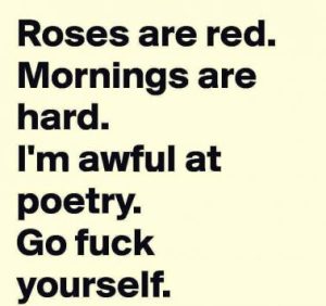 Stupid Bar Memes 39edb70774d2441c