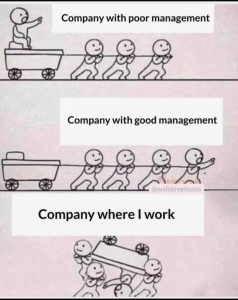 Stupid Bar Memes 3bd51ad47f732c41