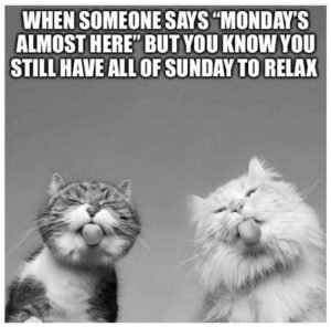 Stupid Bar Memes 40bd2767823205f5