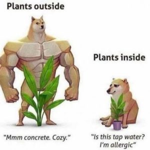 Stupid Bar Memes 4749c0c44f831aff