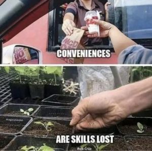 Stupid Bar Memes 4d9b7fef255afee6