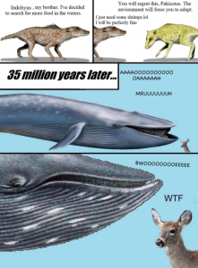 Stupid Bar Memes 541a392ce7b0afc7