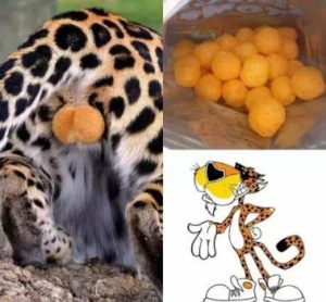 Stupid Bar Memes 54331a85e510e77c