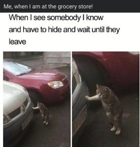 Stupid Bar Memes 56f4f0f78141fbde