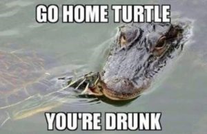 Stupid Bar Memes 58b1d43a9b2e8ea8