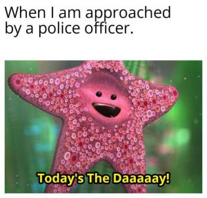 Stupid Bar Memes 597512465858f6e5