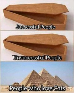 Stupid Bar Memes 5c3c021dc7a1d00d