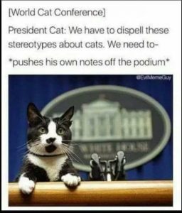 Stupid Bar Memes 5c758b8cd4dda96b
