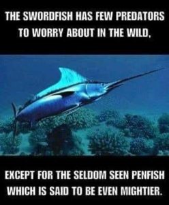 Stupid Bar Memes 5c8718814cd50452