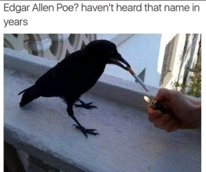 Stupid Bar Memes 5e50f6e6ce7447c3