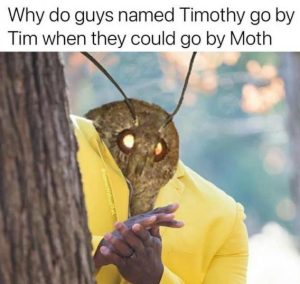 Stupid Bar Memes 5f2b7370f0bb4a48