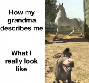 Stupid Bar Memes 6484967abcce74be