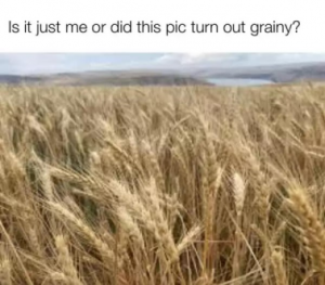 Stupid Bar Memes 66bf2c8f092adb3d