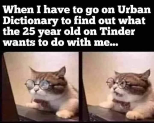 Stupid Bar Memes 68964a4fb20f75d2
