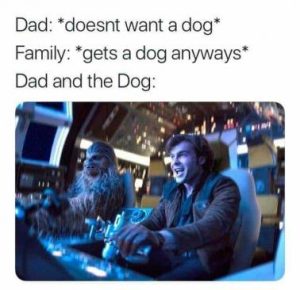 Stupid Bar Memes 6a781df28ec7e1e1