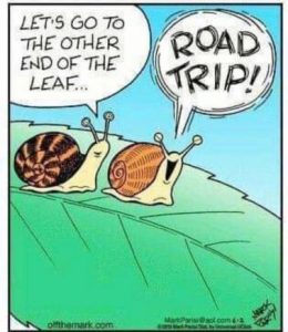 Stupid Bar Memes 713816f03b071951