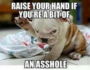 Stupid Bar Memes 734dea064d89f2a6