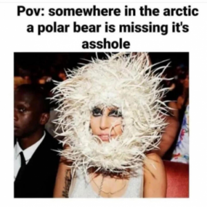 Stupid Bar Memes 73b30fa908cbbf24