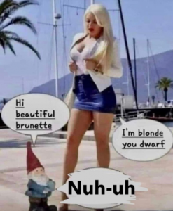 Stupid Bar Memes 73f2ecb1b3faa273