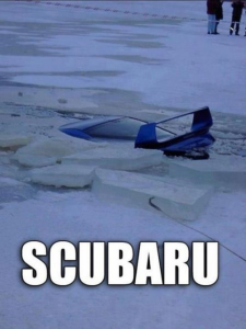 Stupid Bar Memes 75c6660ff76bd1f2