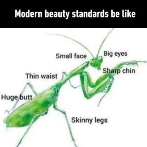 Stupid Bar Memes 78644da8c0254f98